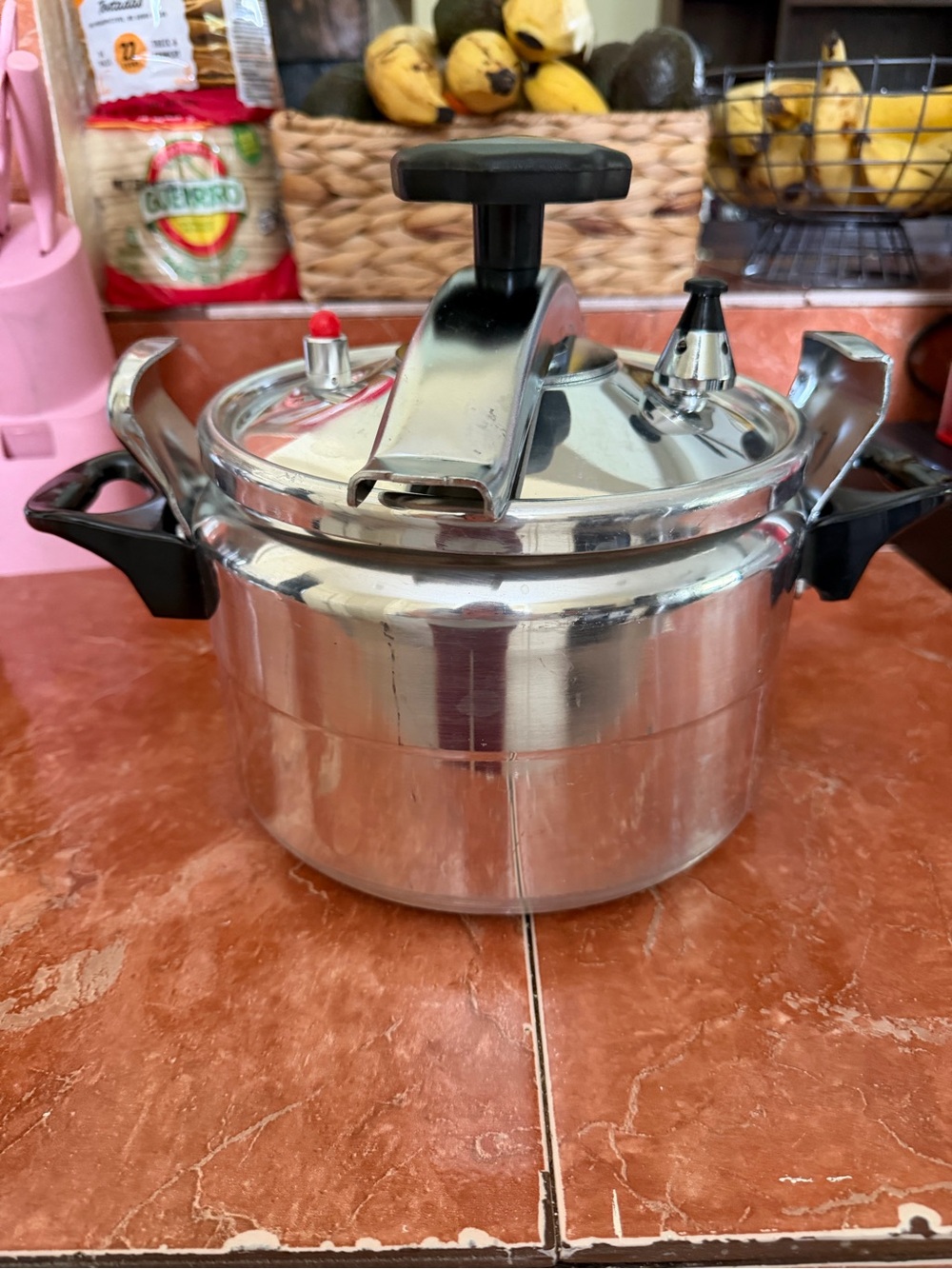 Stainless Steel Pressure Cooker with Black Handles - Silver